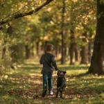 Domki kempingowe nad morzem w Dziwnowie — idealne noclegi blisko plaży